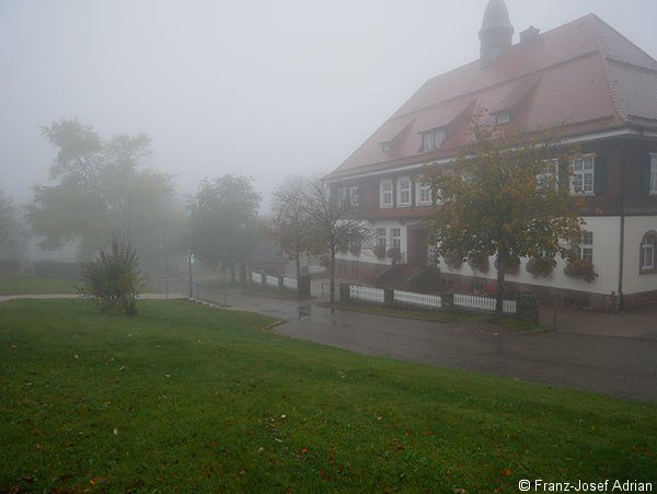 Westweg_Nebel_3