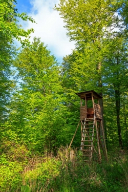 Hochsitz für die Ansitzjagd