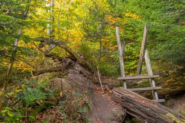 Wildnispfad_E_600