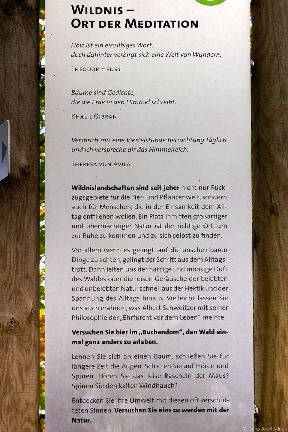 Wildnispfad_Buchendom