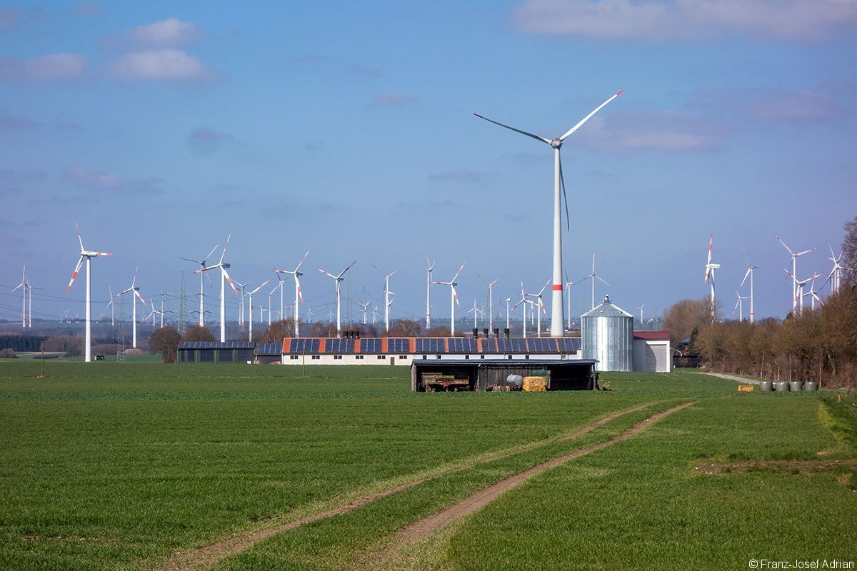 Meerhof_D