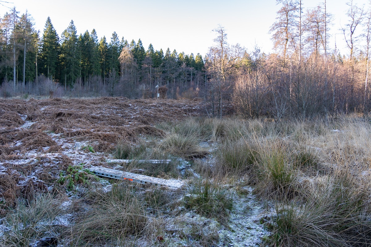 Wuestebach_NLP_Eifel-1