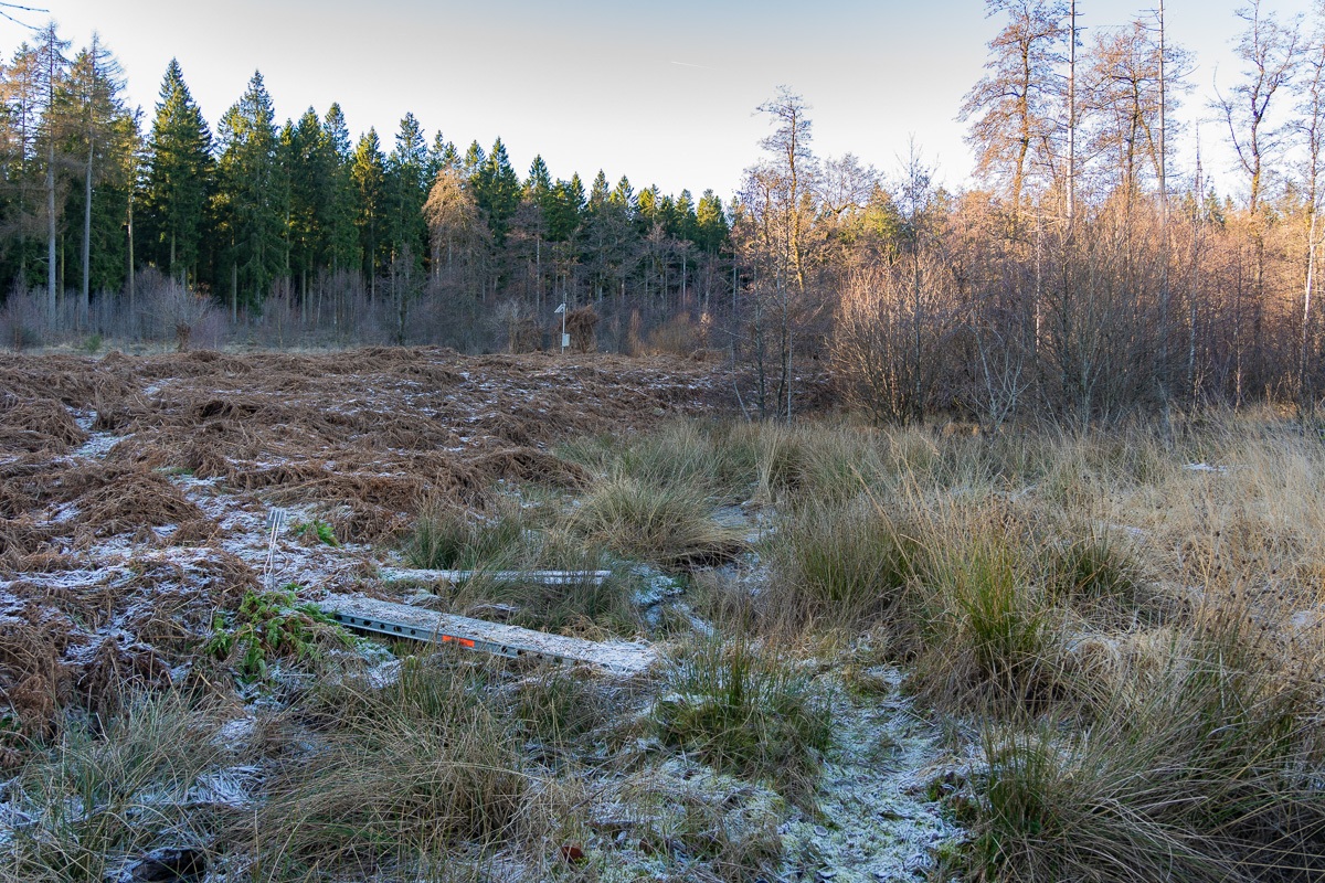 Wuestebach_NLP_Eifel-10