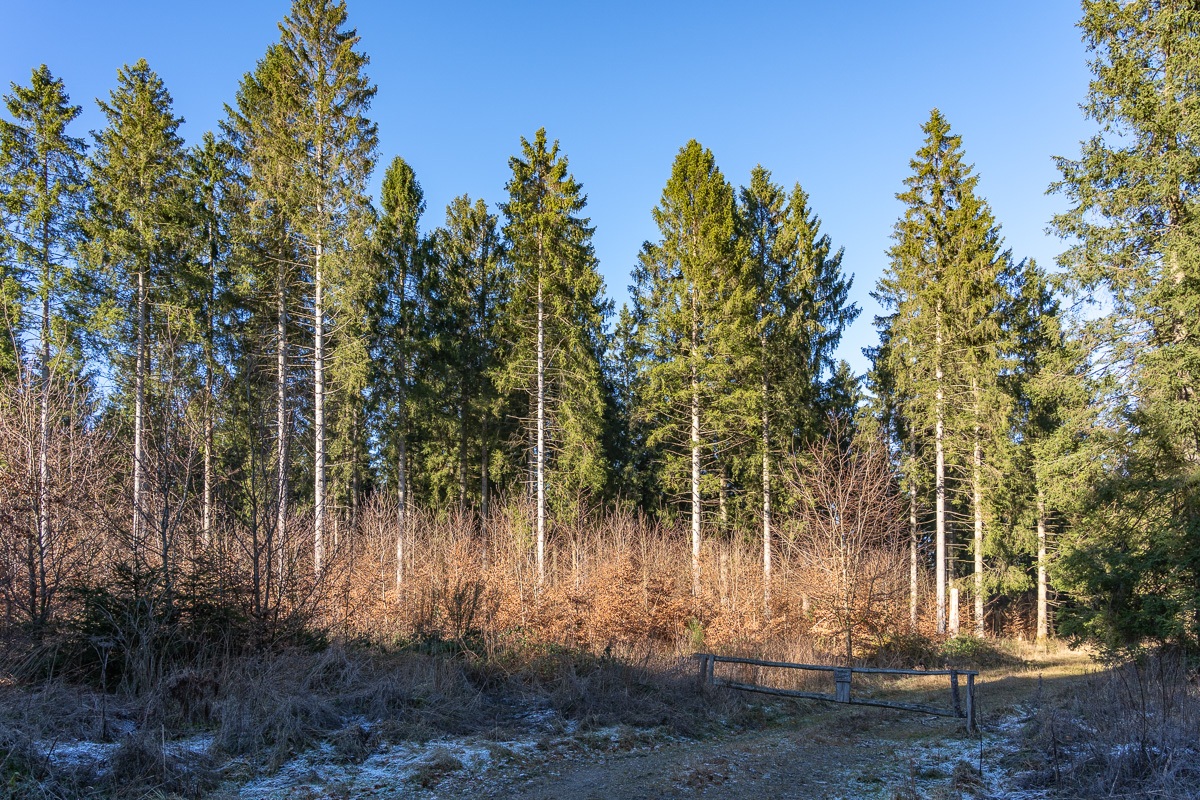 Wuestebach_NLP_Eifel-2