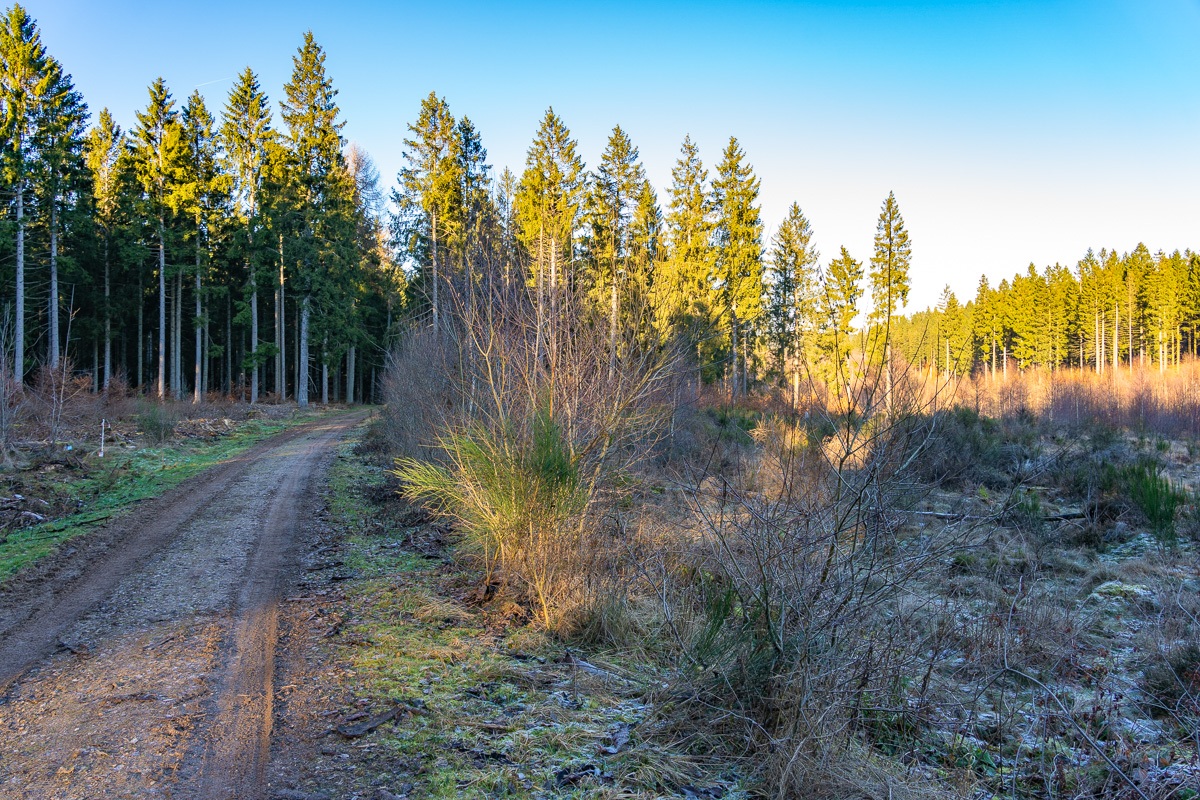 Wuestebach_NLP_Eifel-3