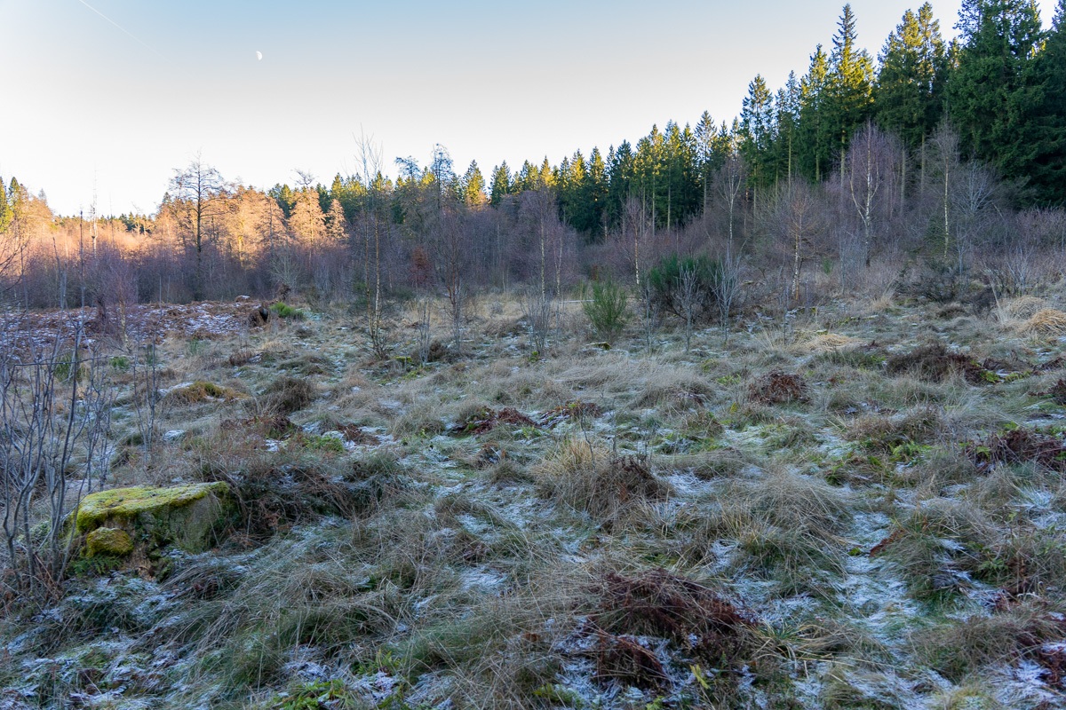 Wuestebach_NLP_Eifel-9