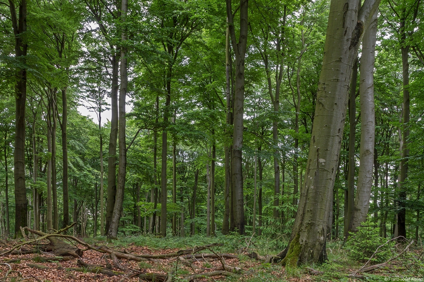 Hunsrueck_1