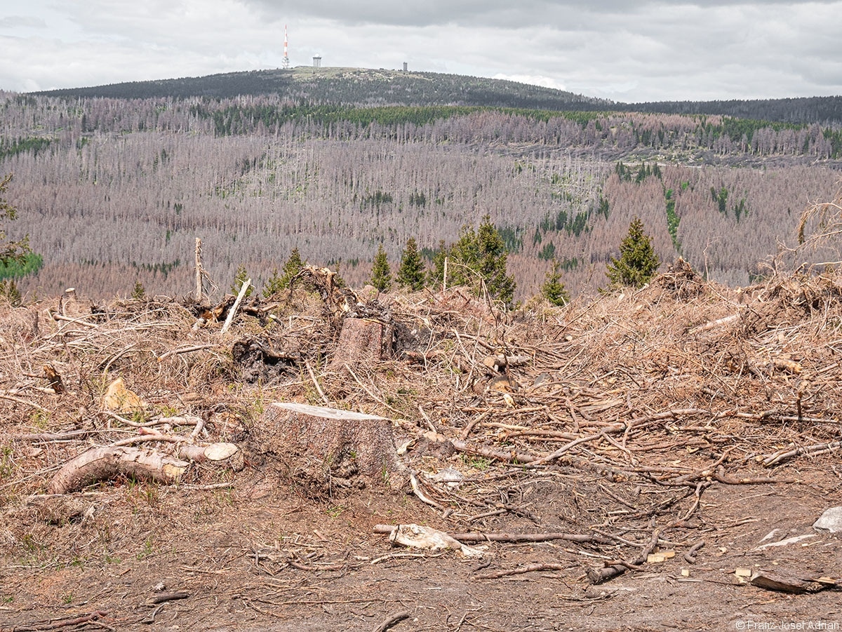 Wurmberg_Brocken_2