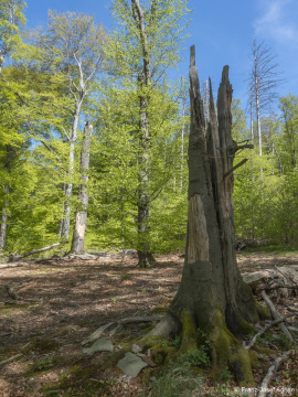 Zerfallsphase_Schrabstein-10