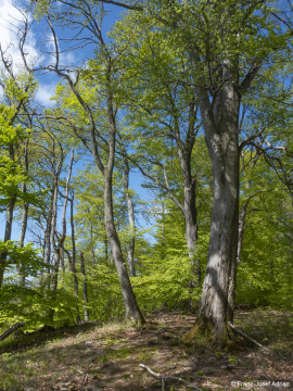 Zerfallsphase_Schrabstein-20
