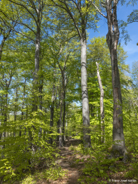 Zerfallsphase_Schrabstein-6