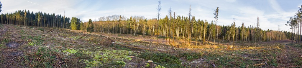 Nationalpark Eifel