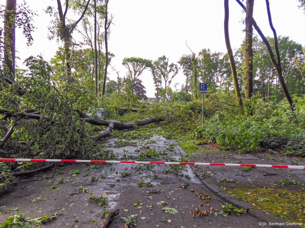 Absperrung der Virchow-Straße nach Pfingststurm Ela