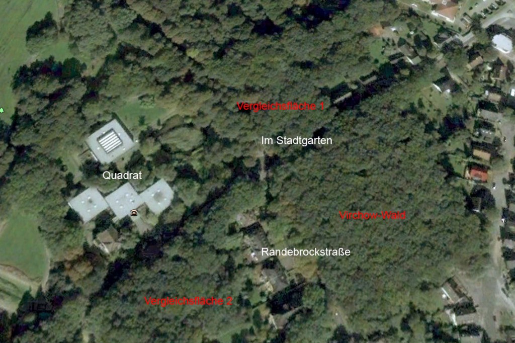 Vergleichsflächen zum Virchow_Wald