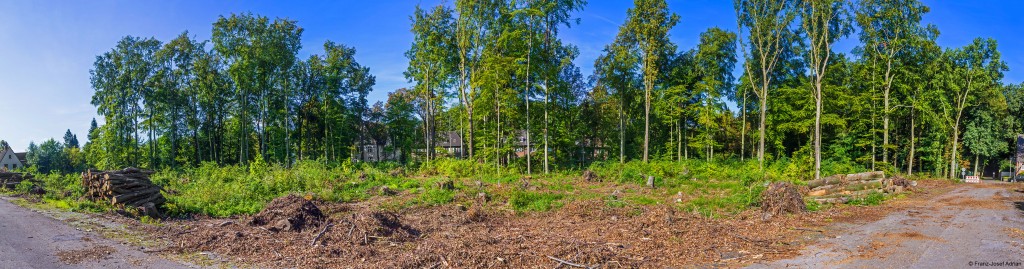 Virchowwald_Panorama_2_1200