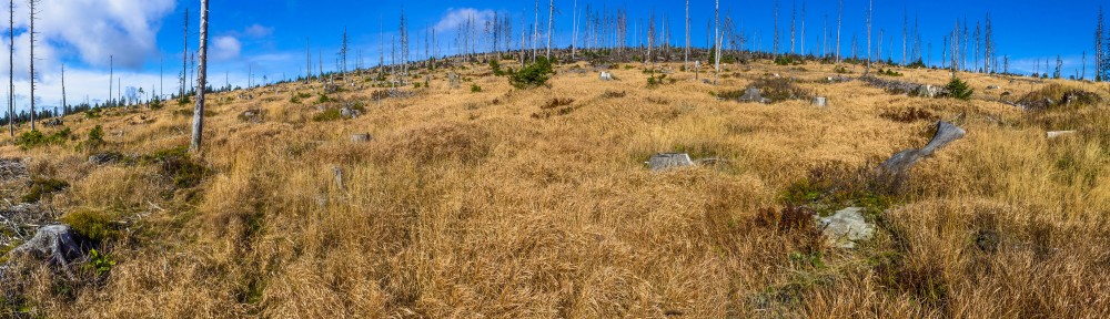 Nationalpark Bayerischer Wald
