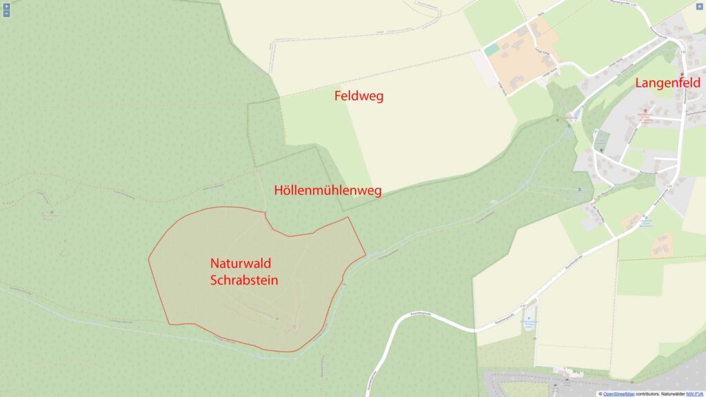Naturwald Schrabstein