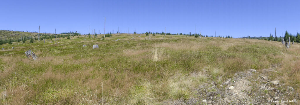 Nationalpark Bayerischer Wald