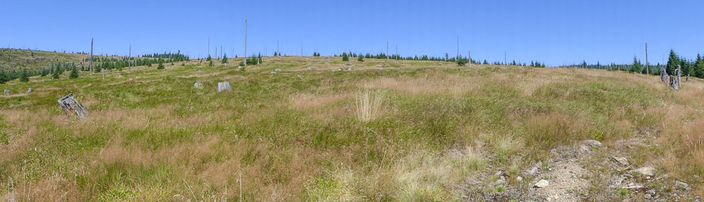 Nationalpark Bayerischer Wald