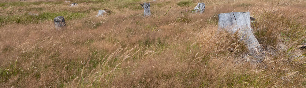 Nationalpark Bayerischer Wald