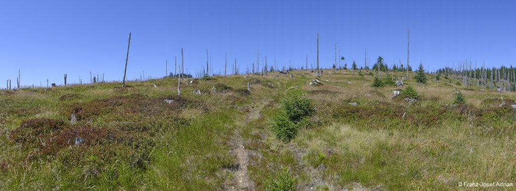 Nationalpark Bayerischer Wald